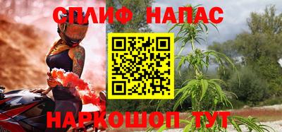 сатива Моздок