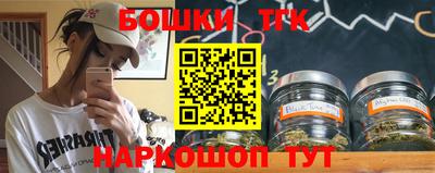 индика Можайск