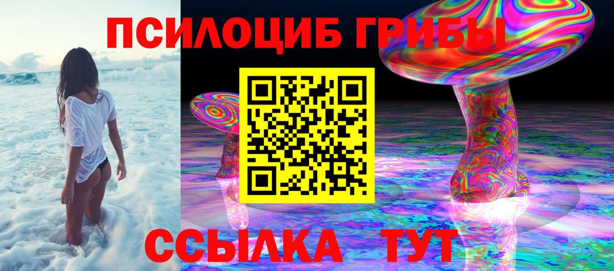 Галлюциногенные грибы прущие грибы Южно-Сахалинск